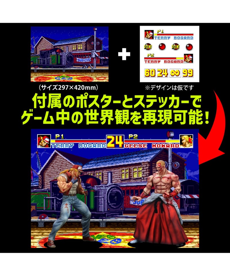 THE KING OF COLLECTORS'24 EX「テリー・ボガード」（HGダメージVe