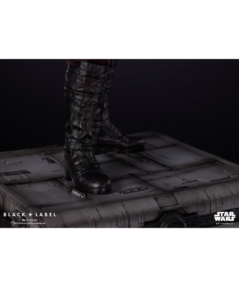 Misaki2インチアナキン・スカイウォーカー付NABOO FIGHTER Misaki2インチアナキン・スカイウォーカー付NABOO FIGHTER