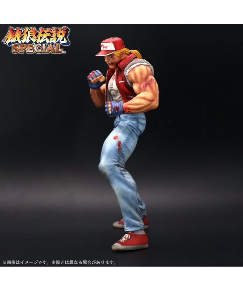 THE KING OF COLLECTORS'24 EX「テリー・ボガード」（HGダメージVe