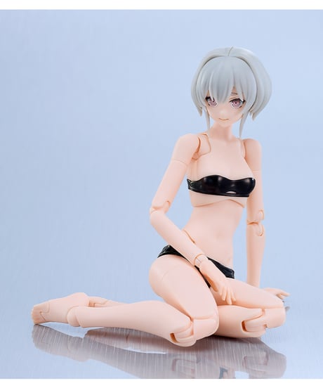 PLAMAX Xi-Ⅲ　組み立て式プラモデル　［マックスファクトリー］