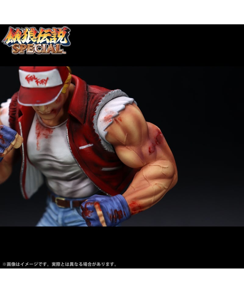 THE KING OF COLLECTORS'24 EX「テリー・ボガード」（HGダメージVe