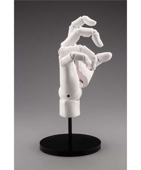 ARTIST SUPPORT ITEM ハンドモデル/R -WHITE-【再生産】　1/1　アクションフィギュア　［コトブキヤ］