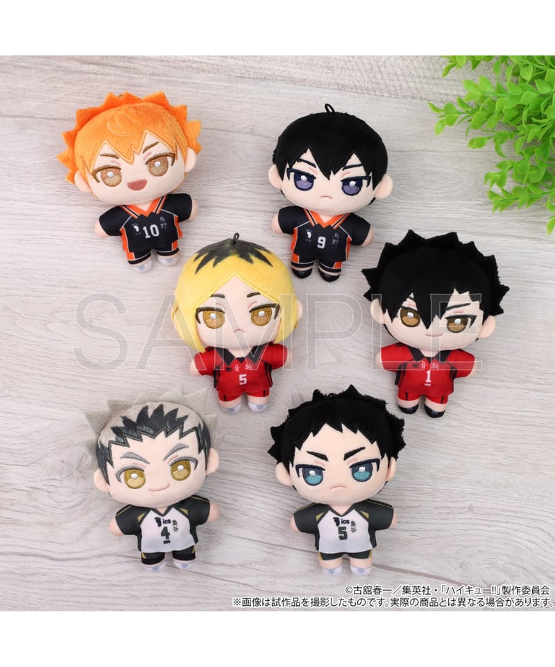 ハイキュー!! 黒尾鉄朗 孤爪研磨 ぬいぐるみ セット だるぬい Amazon