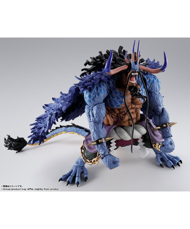 S.H.Figuarts 百獣のカイドウ(人獣型) | WonderToys S.H.Figuarts 百獣のカイドウ(人獣型) | WonderToys