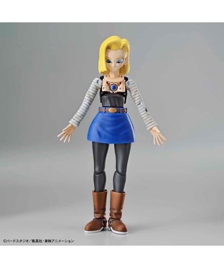 Figure-rise Standard 人造人間18号(リニューアル版)　ドラゴンボール