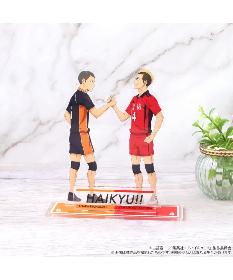 ハイキュー!! アクリルスタンド 全5種 | WonderToys