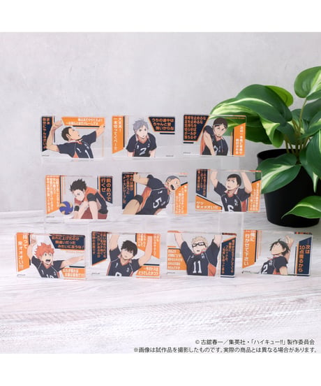 ハイキュー!! アクリルブロックコレクション／烏野高校　１０個入り１BOX