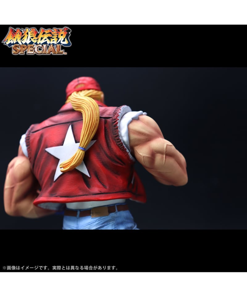 THE KING OF COLLECTORS'24 EX「テリー・ボガード」（HGダメージVe