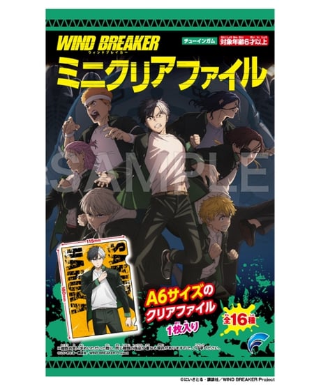 WIND BREAKER　ミニクリアファイル　10個入り1BOX　［フォルテ］