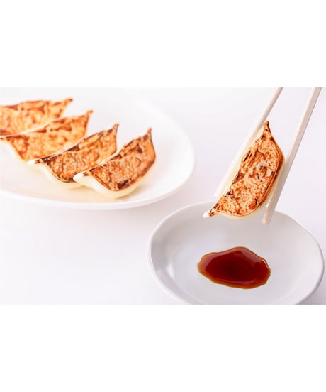 餃子プラモ 　1/1スケール　組立て式プラスチックモデル