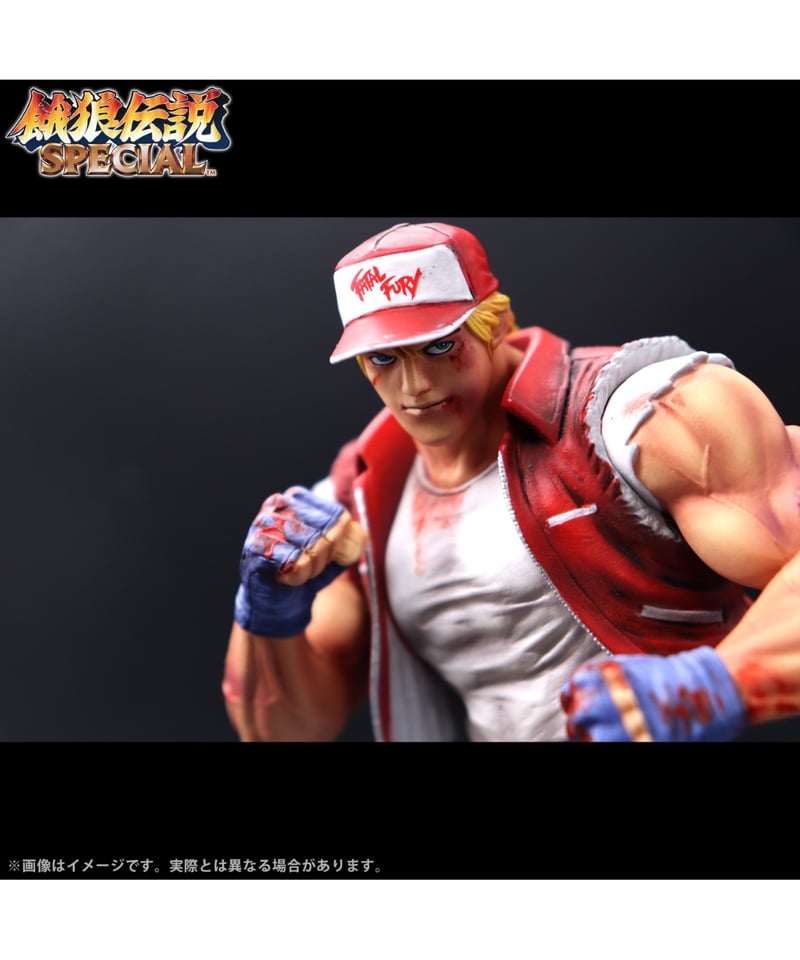 THE KING OF COLLECTORS'24 EX「テリー・ボガード」（HGダメージVe