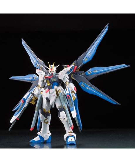 RG 1/144 ストライクフリーダムガンダム【機動戦士ガンダムSEED DESTINY】