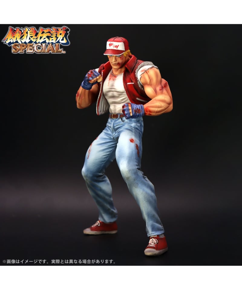 THE KING OF COLLECTORS'24 EX「テリー・ボガード」（HGダメージVe