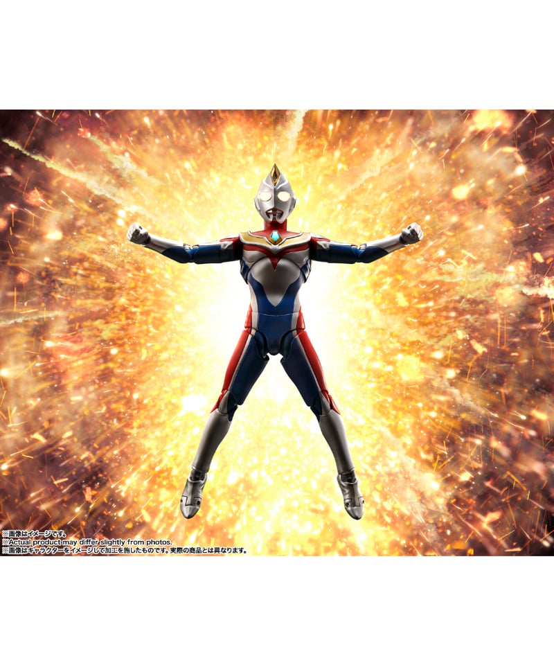 送料無料】S.H.Figuarts（真骨彫製法） ウルトラマンダイナ フラッシュ