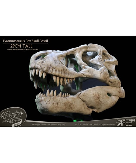 スターエーストイズ　ワンダーズ オブ ザ ワイルド ティラノサウルス・レックス スカル 化石　塗装済完成品