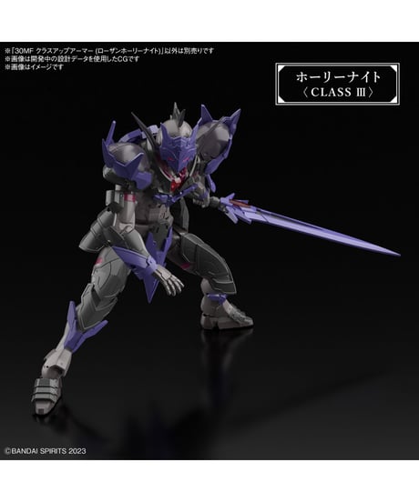 30MF クラスアップアーマー (ローザンホーリーナイト)