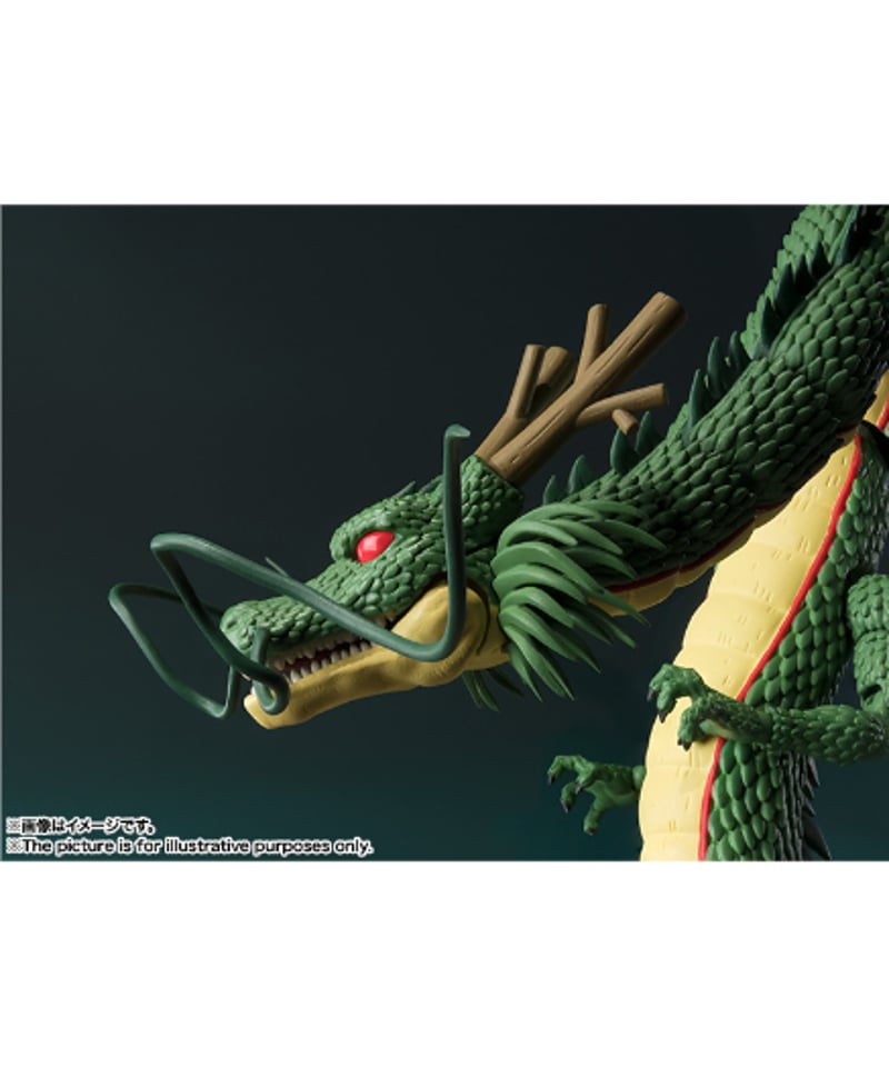S.H.Figuarts 神龍 ドラゴンボールシリーズ | WonderToys