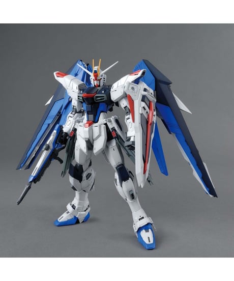 MG 1/100 フリーダムガンダム Ver.2.0　機動戦士ガンダムSEED