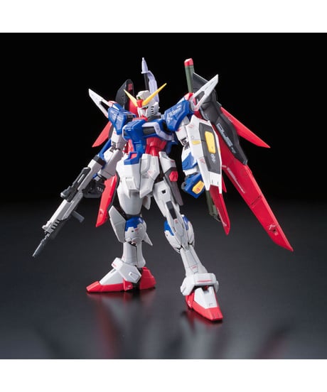 RG 1/144 ZGMF-X42S デスティニーガンダム【機動戦士ガンダムSEED DESTINY】