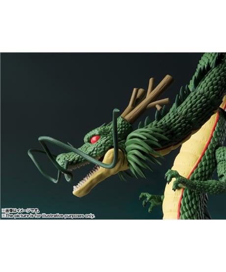 S.H.Figuarts 神龍　ドラゴンボールシリーズ