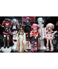 【予約】【送料無料】「心裏のアリス」 1/6スケール BJD ブラインドドール　6個入1BOX　[Heart Studio「ハート・スタジオ」]