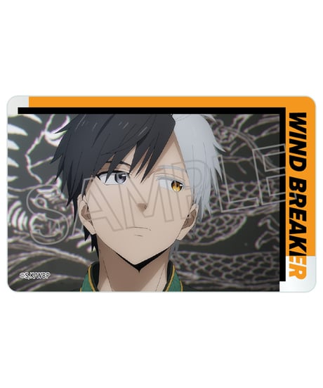 WIND BREAKER クリアカード 　１０個入り１BOX