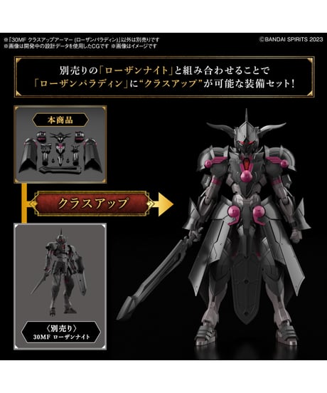 30MF クラスアップアーマー (ローザンパラディン)