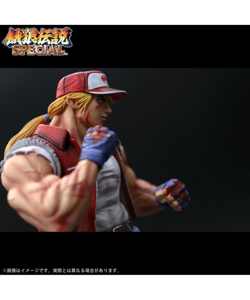 THE KING OF COLLECTORS'24 EX「テリー・ボガード」（HGダメージVe