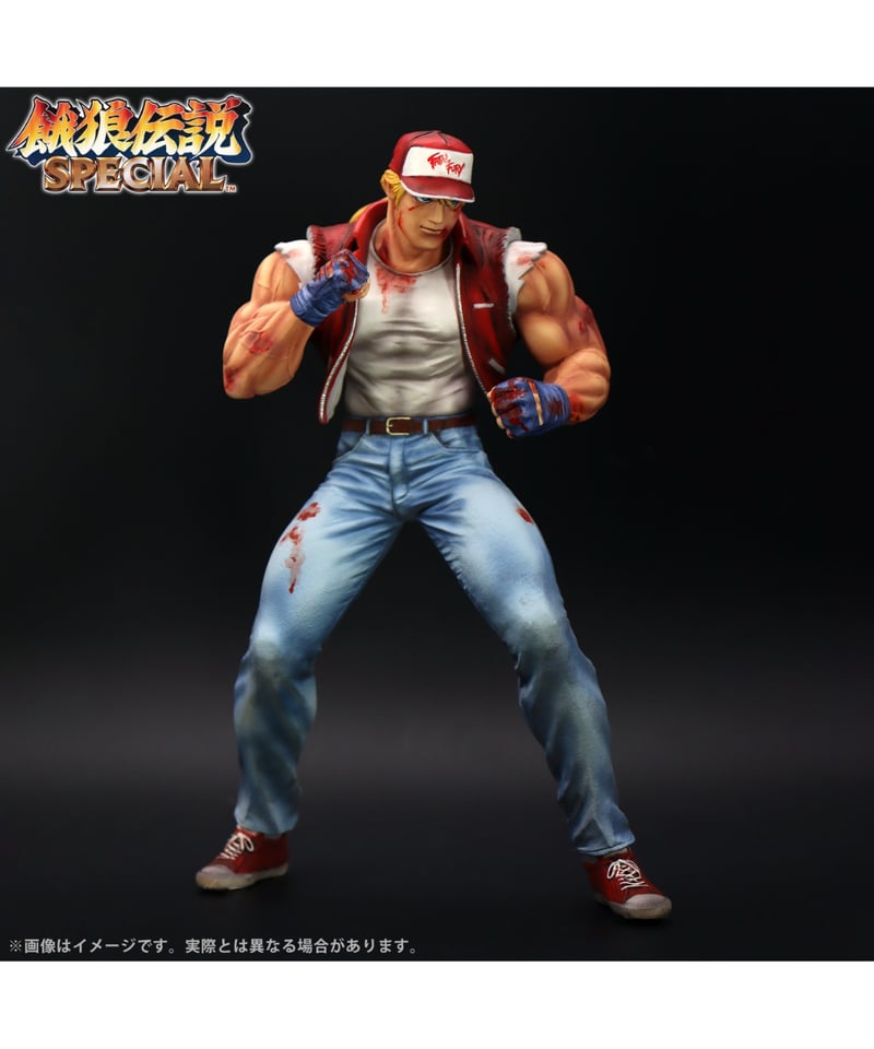 THE KING OF COLLECTORS'24 EX「テリー・ボガード」（HGダメージVe