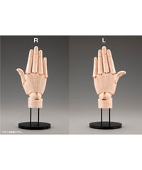 ARTIST SUPPORT ITEM ハンドモデル/R -PALE ORANGE-【再生産】　1/1　アクションフィギュア　［コトブキヤ］