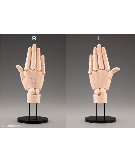 【予約】ARTIST SUPPORT ITEM ハンドモデル/R -PALE ORANGE-【再生産】　1/1　アクションフィギュア　［コトブキヤ］