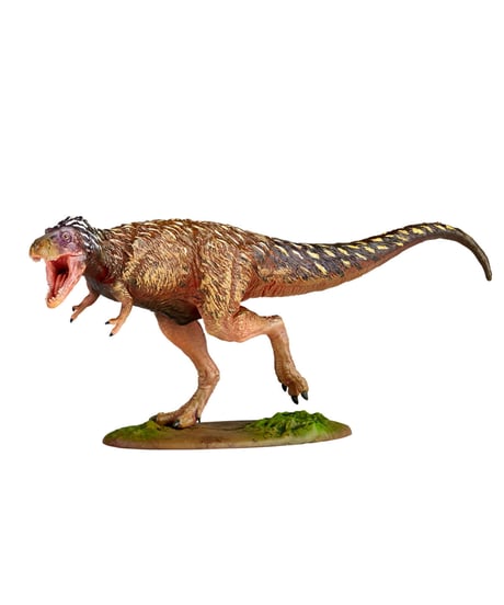 ARTPLA  ティラノサウルス（幼体）