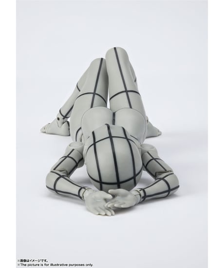 【送料無料】S.H.Figuarts ボディちゃん -ワイヤーフレーム- （Gray Color Ver.）