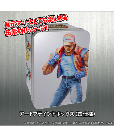 THE KING OF COLLECTORS'24  SPECIAL「テリー・ボガード」（ドット絵彩色カラー）