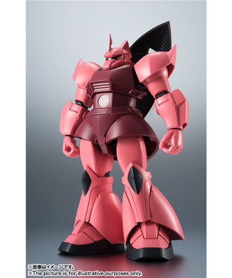 ROBOT魂 ＜SIDE MS＞ MS-14S シャア専用ゲルググ ver. A.N.I.M.E. (再販版)　機動戦士ガンダム