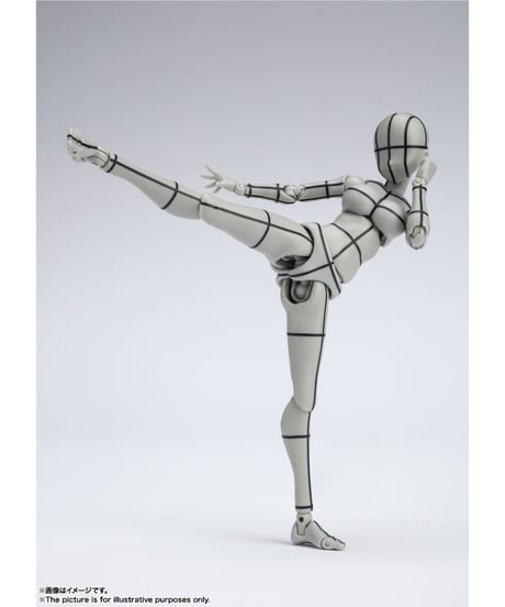 【送料無料】S.H.Figuarts ボディちゃん -ワイヤーフレーム- （Gray Color Ver.）