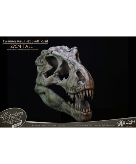 スターエーストイズ　ワンダーズ オブ ザ ワイルド ティラノサウルス・レックス スカル 化石　塗装済完成品