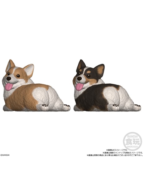 【予約】もっちりころりん♪おいぬ　12個入り1BOX　［バンダイ］