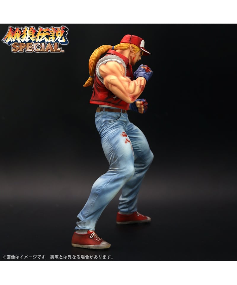 THE KING OF COLLECTORS'24 EX「テリー・ボガード」（HGダメージVe