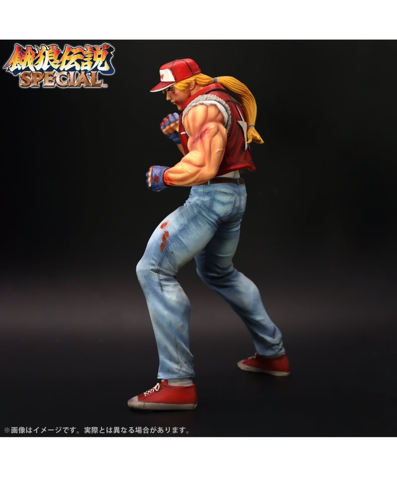 THE KING OF COLLECTORS'24 EX「テリー・ボガード」（HGダメージVe