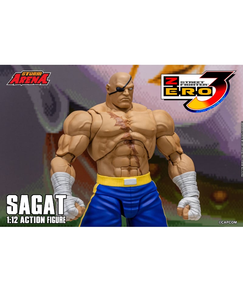 ソタ ストリートファイター アクションフィギュア サガット ストリートファイター サガット アクションフィギュア (完成品