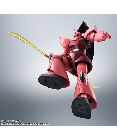 ROBOT魂 ＜SIDE MS＞ MS-14S シャア専用ゲルググ ver. A.N.I.M.E. (再販版)　機動戦士ガンダム