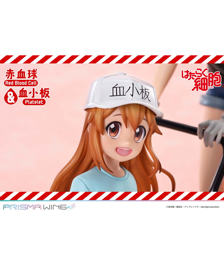 6937c926e3d9a43b88b81c06