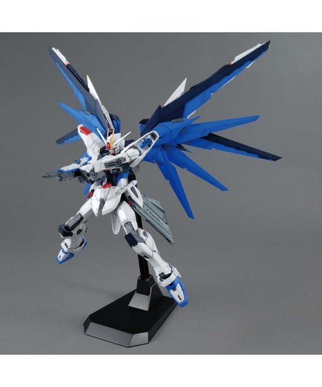 MG 1/100 フリーダムガンダム Ver.2.0　機動戦士ガンダムSEED