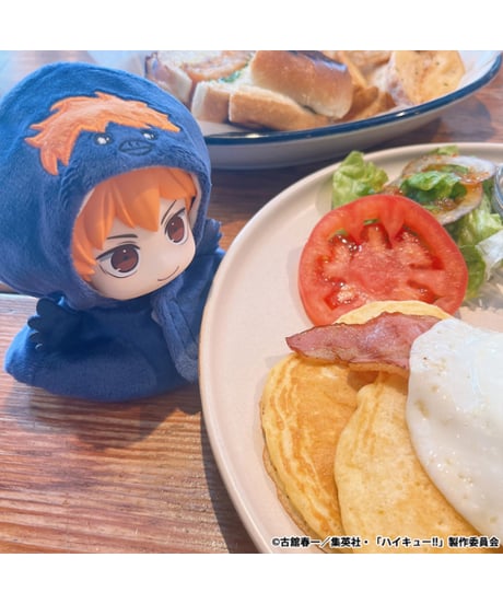 【送料無料】るかっぷ ポンチョ  ハイキュー!!  ヒナガラス/カゲガラス　全２種　［メガハウス］