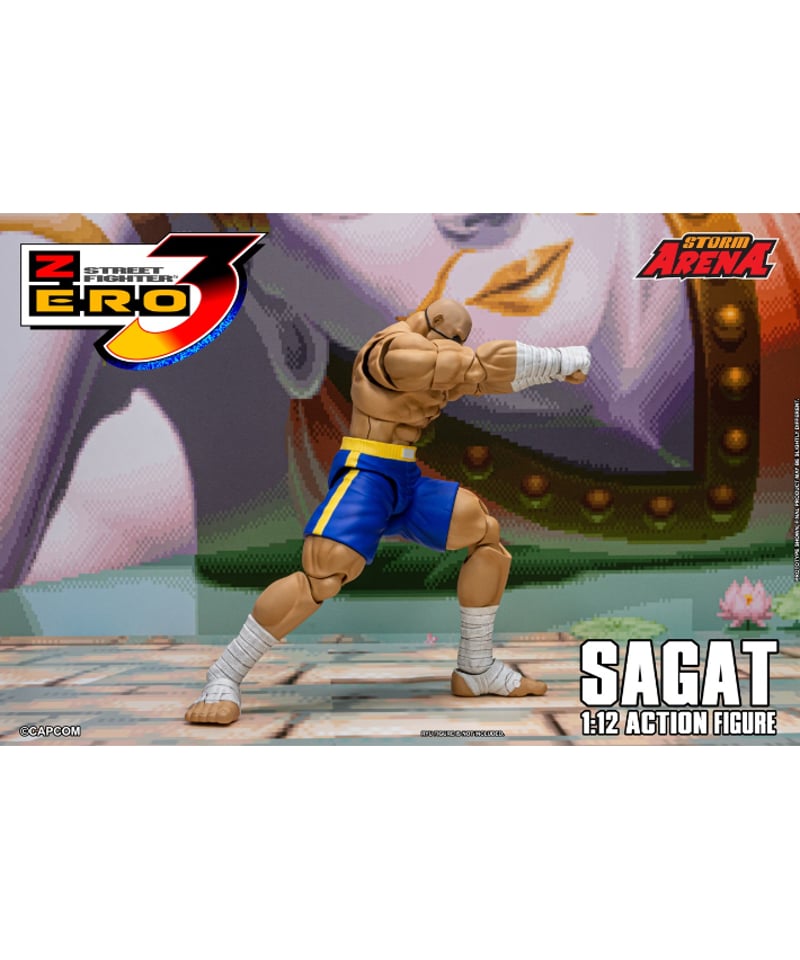 予約】ストリートファイターZERO3 1/12スケール アクションフィギュア