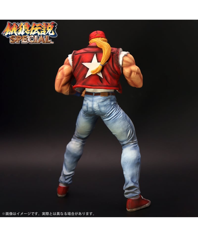 THE KING OF COLLECTORS'24 EX「テリー・ボガード」（HGダメージVe
