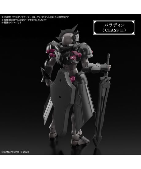 30MF クラスアップアーマー (ローザンパラディン)