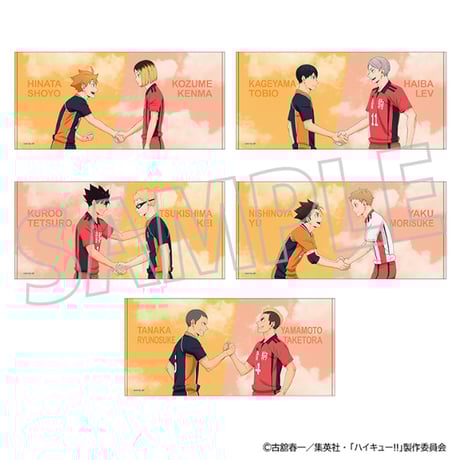 ハイキュー!! ビッグタオル　全５種