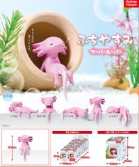【予約】ふちやすみ ウーパールーパー　10個入1BOX　［エール］
